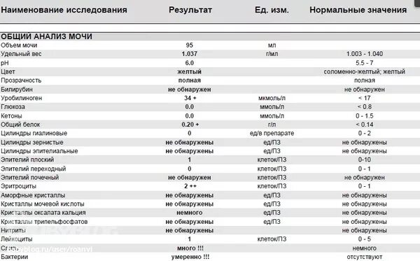 Расшифровка общего анализа - Вопрос педиатру - 03 Онлайн