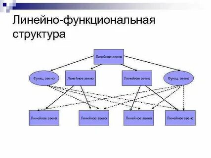 Организационная структура управления звенья