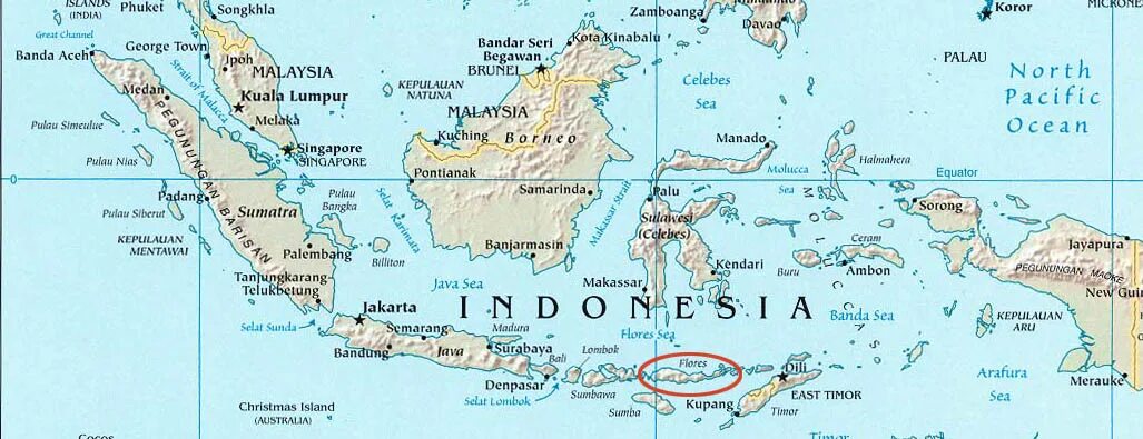 Большие зондские острова океан. Остров Флорес Индонезия на карте. Остров Флорес на карте.