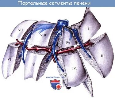 4 сегмент