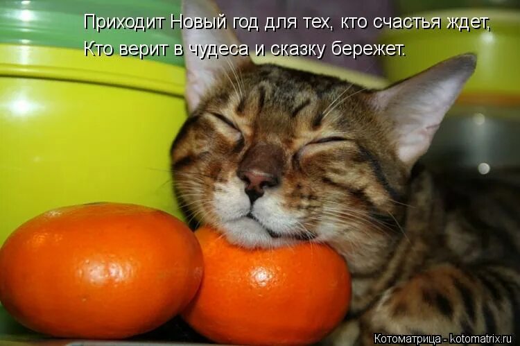 Тот кто счастье ждет. Счастье это когда тебя ждут дома картинки. Ждать афоризмы. Счастье приходит к тому кто. Нужно уметь ждать человека.