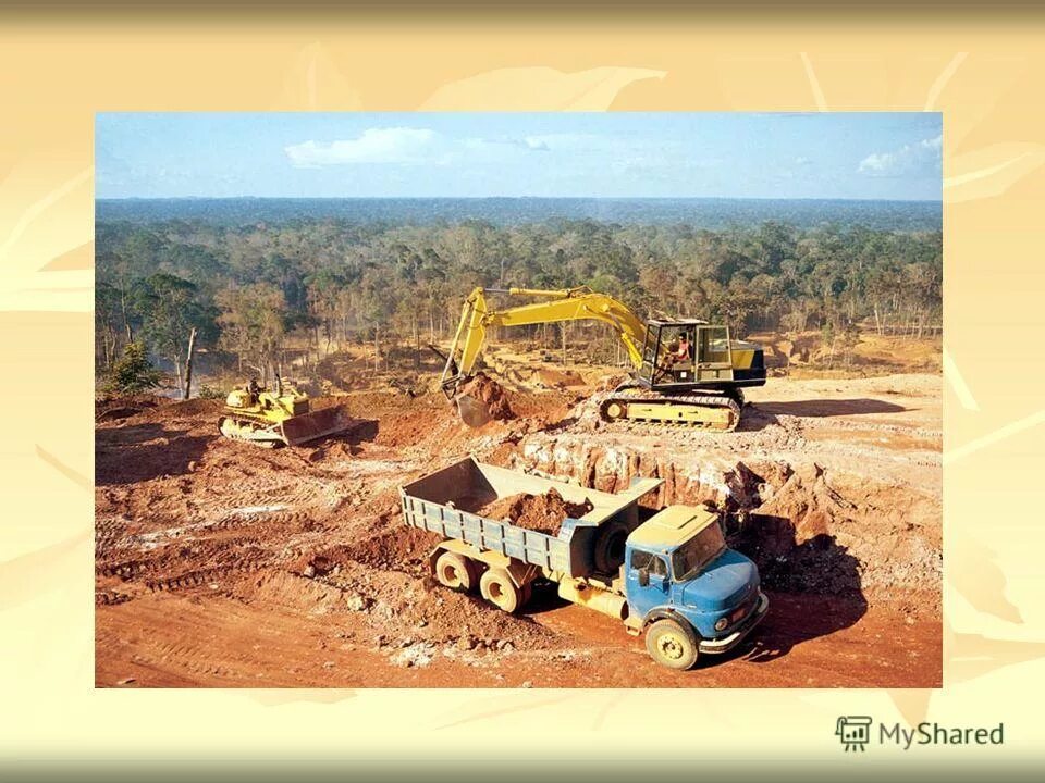 загрязнение почвы животные. биоразнообразие. уничтожение среды обитания животных фото. экологические проблемы. влияние экологии на животных.