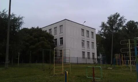 Школа 384