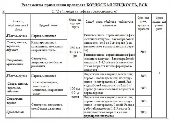 Бордоская жидкость 100 мл. Бордоская жидкость вск 100 мл 100 август. Бордосская жидкость как разводить для опрыскивания. Раствор бордосской жидкости для опрыскивания деревьев. 30 плюс с медным купоросом