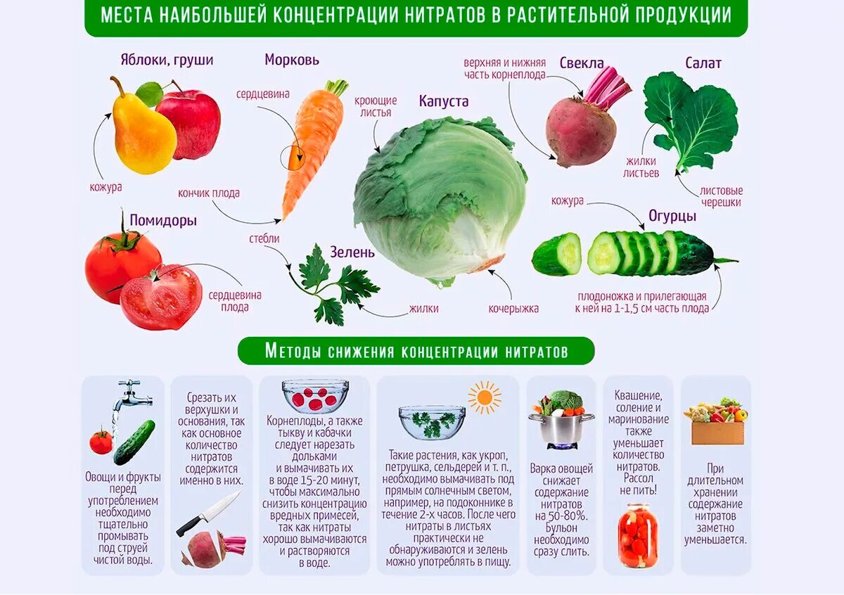 Процент воды в огурце. Нитраты в овощах. Нитриты в овощах и фруктах. Овощи с высоким содержанием нитратов в овощах. Полезные фрукты и овощи.