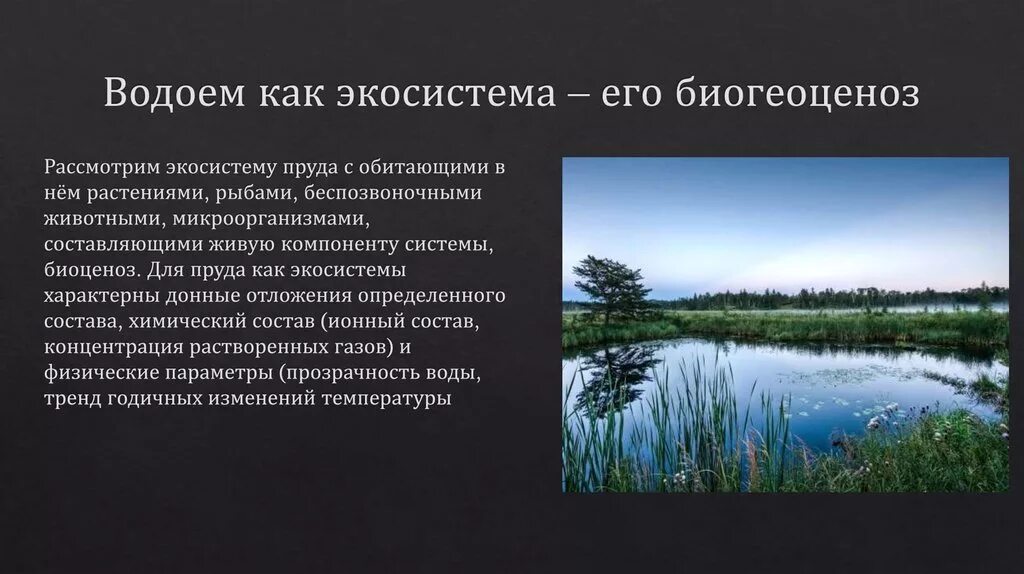 Природное сообщество озеро 5 класс биология. Экосистема водоема. Биогеоценоз пруда характеристика. Экосистема пресноводного водоема. Характеристика биогеоценоза водоема.