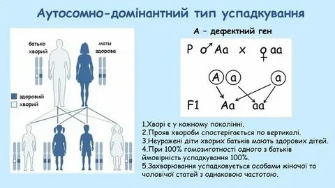 У канареек наличие хохолка доминантный аутосомный