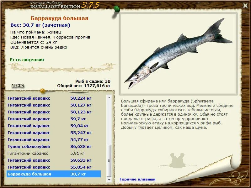 реальная рыбалка барракуда. реальная рыбалка барракуда. барракуда улыбается. водка барракуда. реальная рыбалка барракуда.