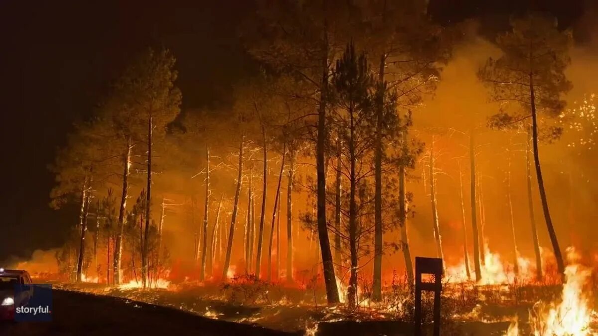 Сильный пожар в лесу. Самый сильный пожар в мире. Лемной повр. Сильный пожар. Самый крупный пожар в мире.