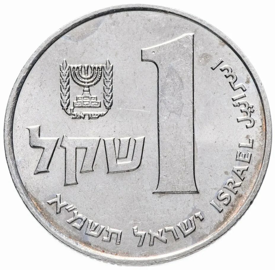 New Sheqel монета. Курс шекеля в россии