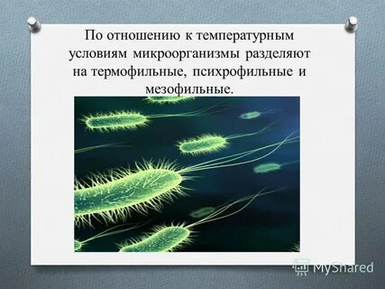 Биологические факторы среды и микроорганизмов