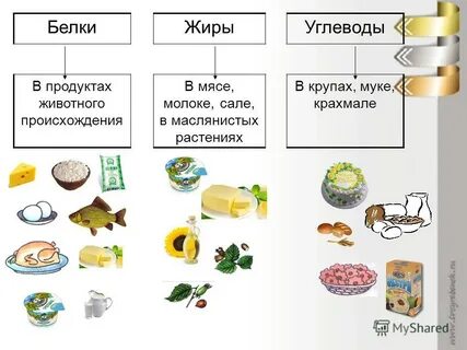 Белково жировой продукт