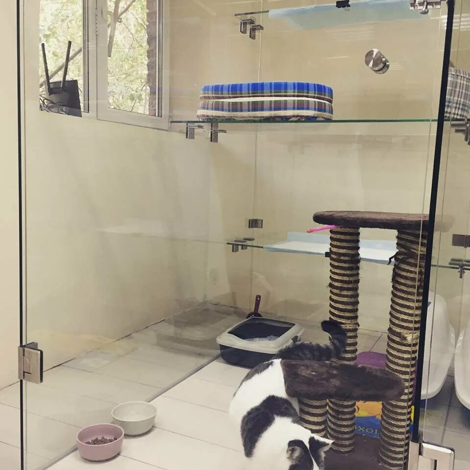 отель черный кот. отель черный кот. блэк сиа отель адлер. отель черный кот. отель черный кот.