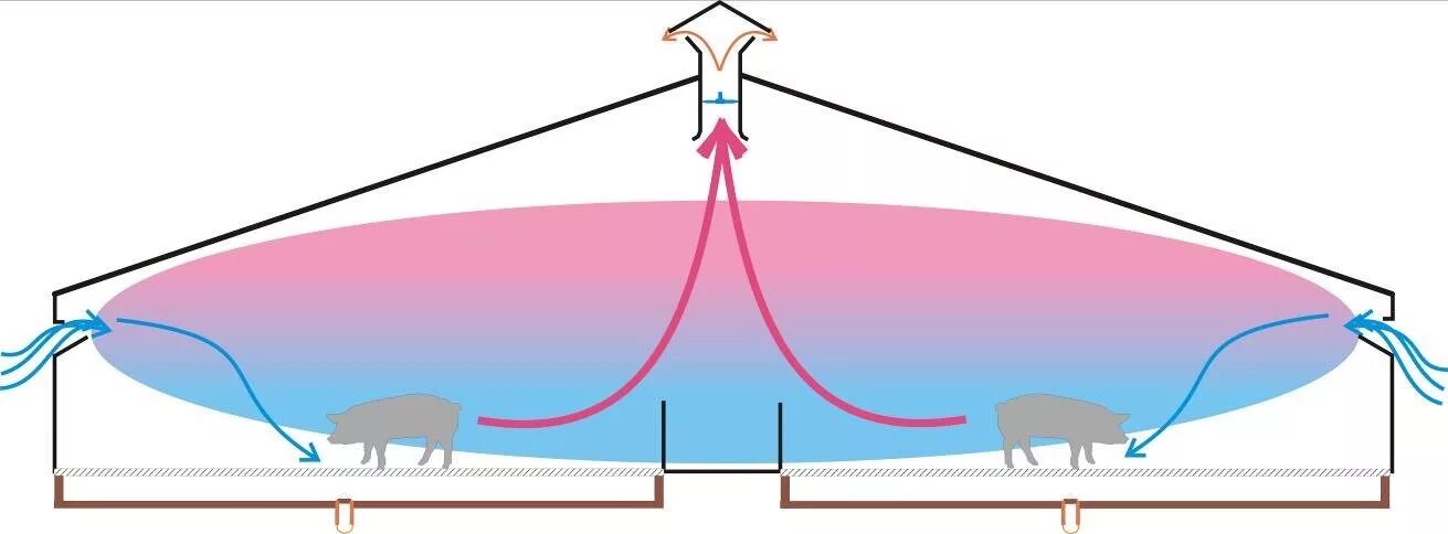 Воздух животноводческих помещений. Приточно-вытяжная система вентиляции в свинарниках. Приточно-вытяжная система вентиляции для КРС. Вентиляционная система на свиноферме. Схема вентиляции в свинарнике.
