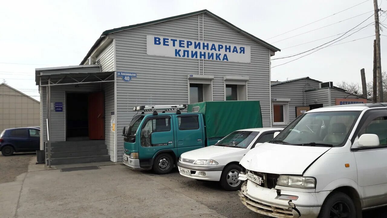 Ул. Майск ветеринарная. Ветклиника в первоуральске вет плюс. Юнивет троицк. Ветклиника троицк.