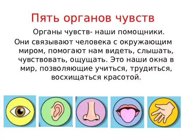 Опыты органы чувств. Органы чувств. Пять органов чувств. Органы чувств 3 класс. Презентация на тему органы чувств.