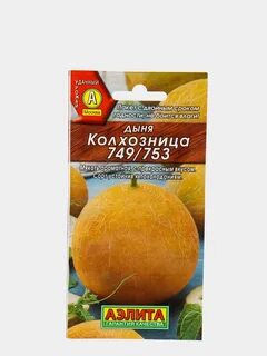 Дыня колхозница отзывы