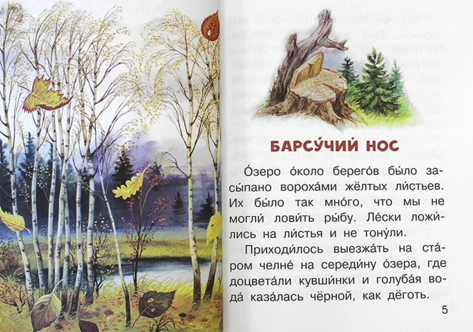 Барсук Паустовский. Паустовский барсучий нос книга.