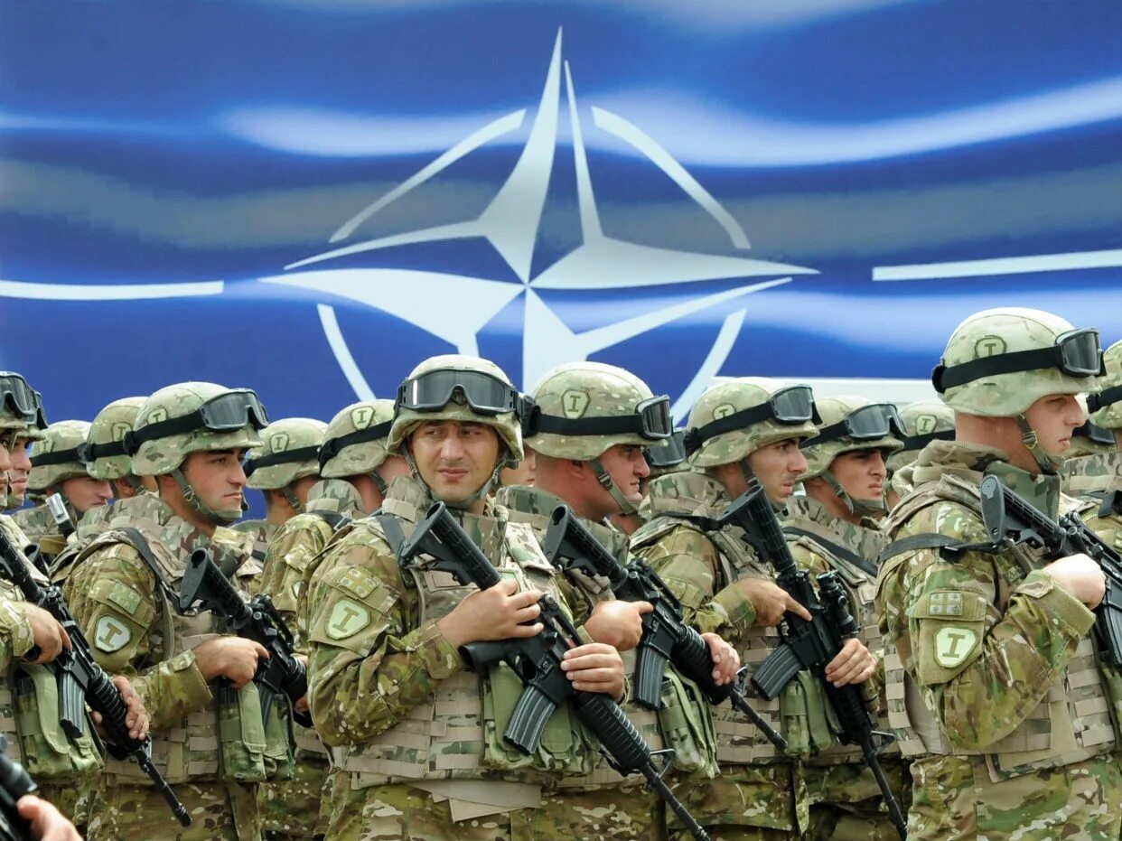 НАТО Отан. Армия НАТО. Войска НАТО. Армия Альянса НАТО. Военные россии против нато
