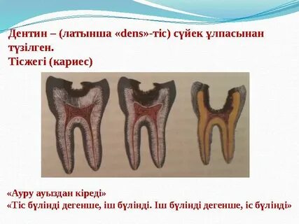 Порно кастинг