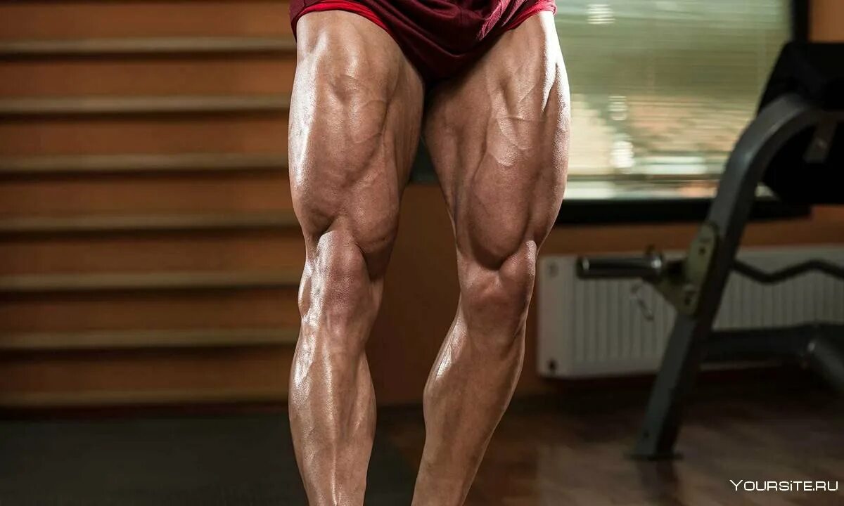 Крутят ноги у мужчин. Мышцы ног квадрицепс. Накаченные ноги. Рельефные ноги. Мощные ноги.