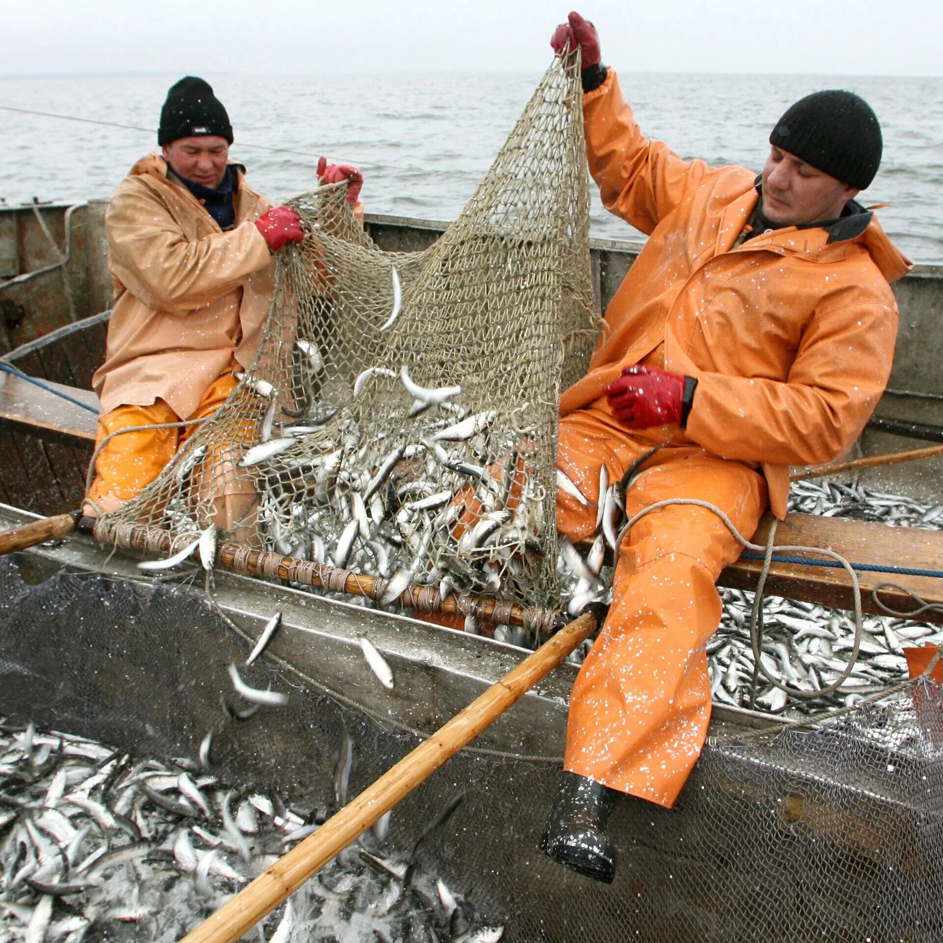 Калининград ловит рыбу. Рыбак профессия. Добыча рыбы. Промысел рыбы. Рыбный промысел.