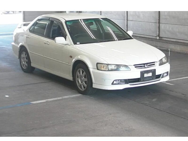 Аккорд cf. Honda accord cf3. accord cf4. honda accord cf4 f20bпроклдкаvtek. хонда аккорд cf3 и cf4.