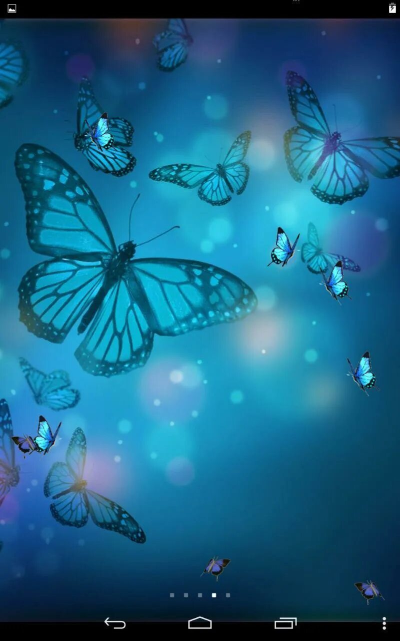 Игра бабочки на планшет. Обои на планшет бабочки. Темы для андроид с бабочками. Обои на андроид бабочки. Butterfly приложение.