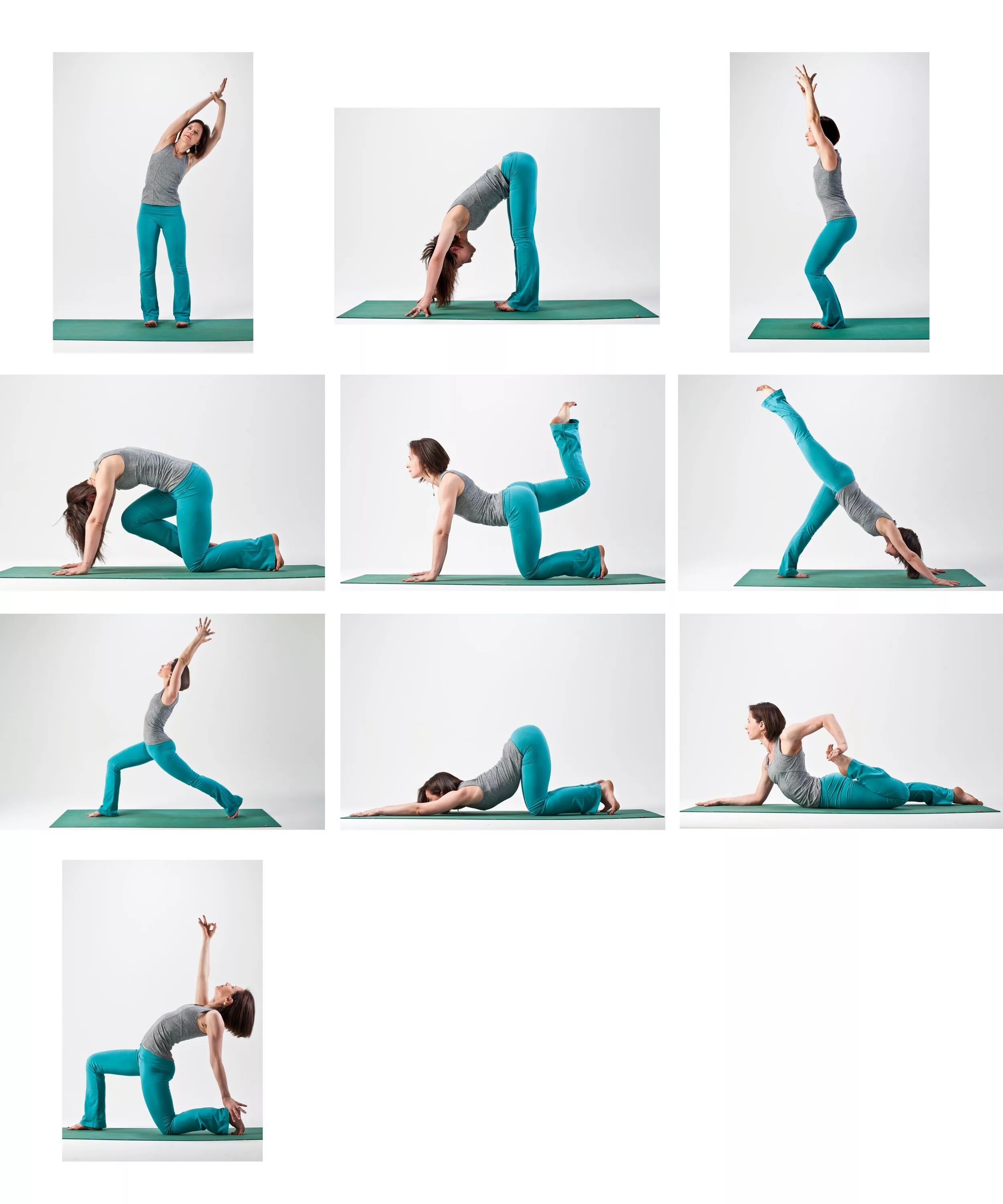 Йога 1 занятия. Хатха-йога комплекс асан. Йога Айенгара асаны. Хатха йога упражнения для начинающих. Йога основные асаны для начинающих.