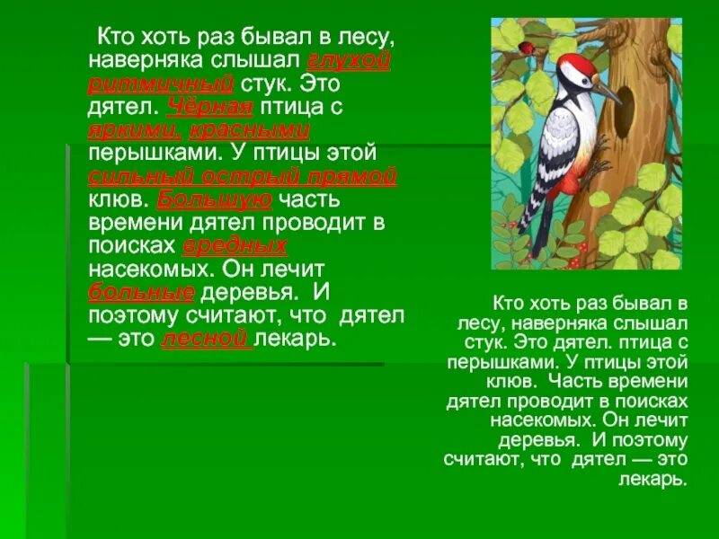 Слышен голос звонкий как понять. Предложение про дятла. Слово дятел. Дятел части. Дятел в лесу стучит по дереву.