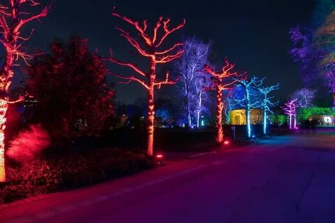 Colorful night