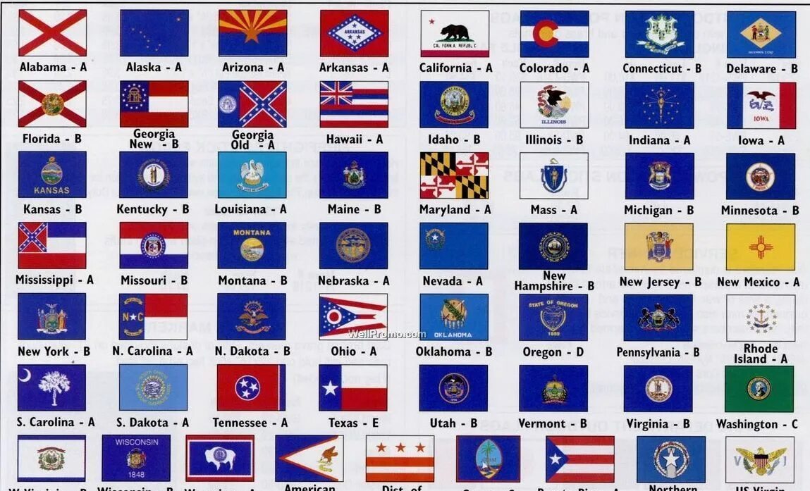 Флаги Штатов США. Флаги всех Штатов США. Флаги 50 Штатов США. Флаги штатовамрики.