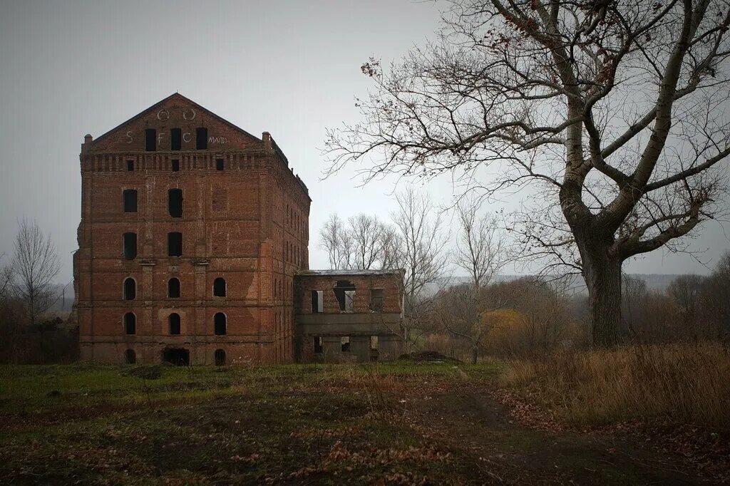 Адамовская мельница Ливны. Адамова мельница в Ливнах. Адамовская мельница Орловская область. Адамова мельница Орел. Адамовская мельница