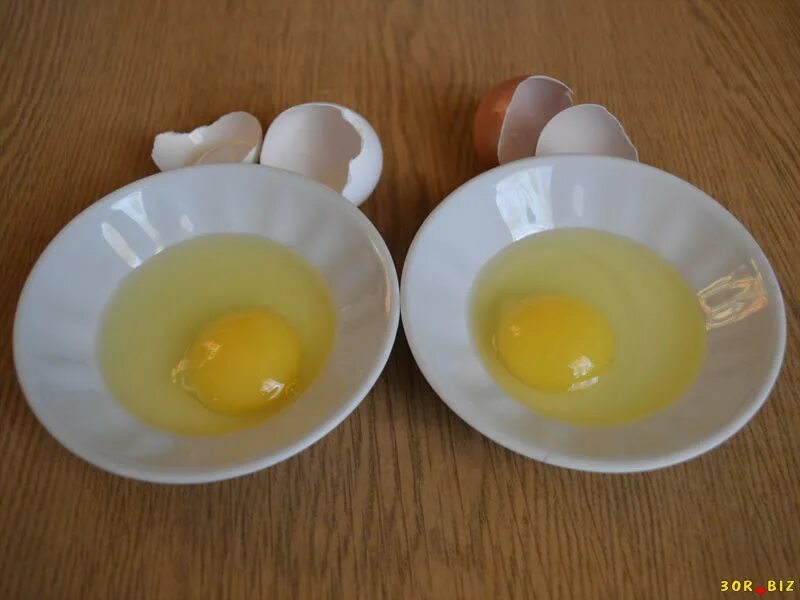 Белки яиц купить. Яичные белки. Белок и желток. Белок и желток в яйце. Светлый желток.