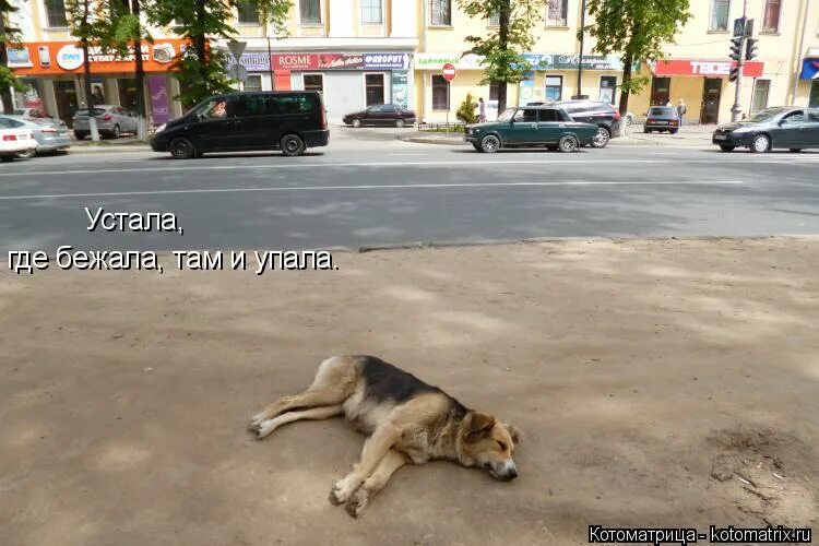 Устал бежать. Устала и упала. Где устал там и упал. Устал бегать.