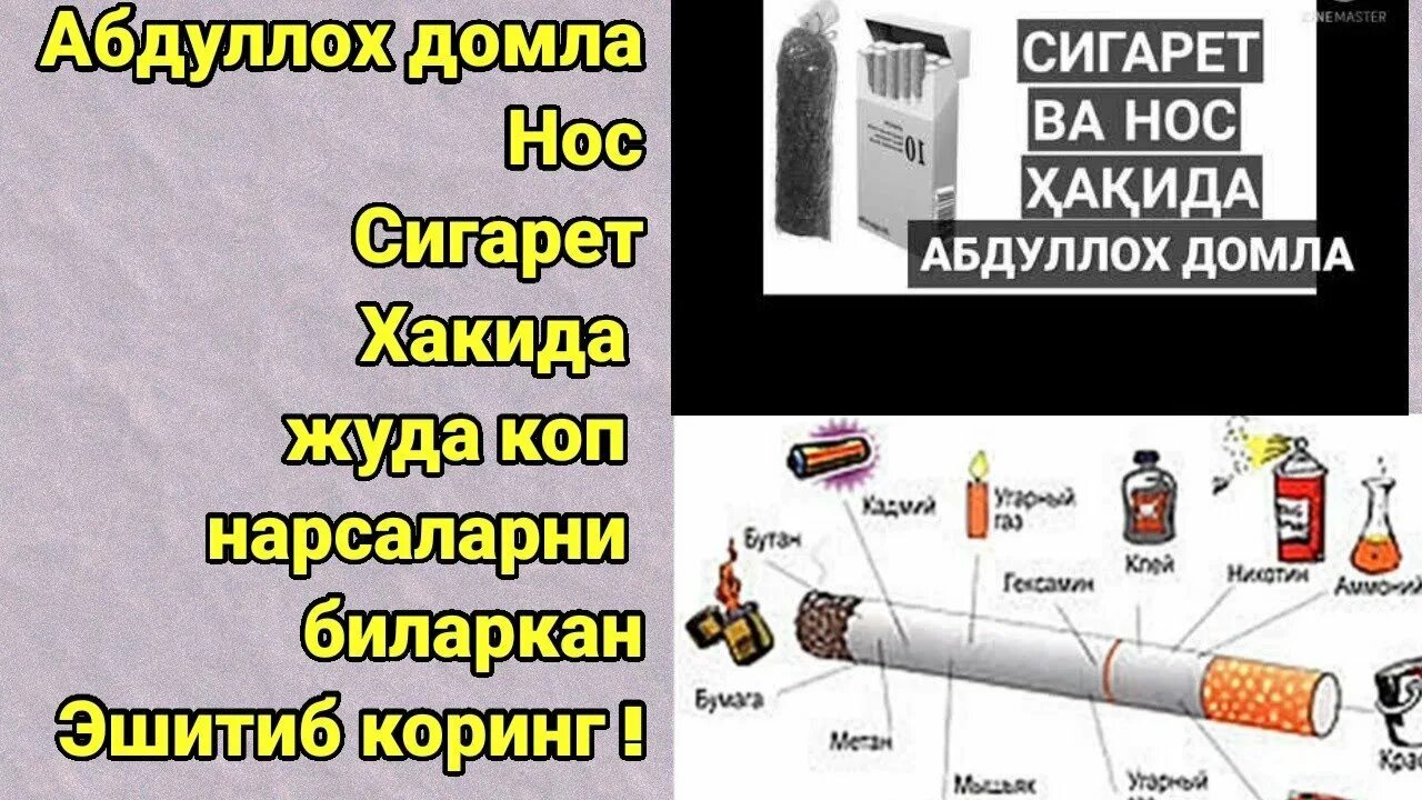 Запах сигарет в носу. Сигарет ва нос Чекиш хакида. Сигарет зарари хакида.