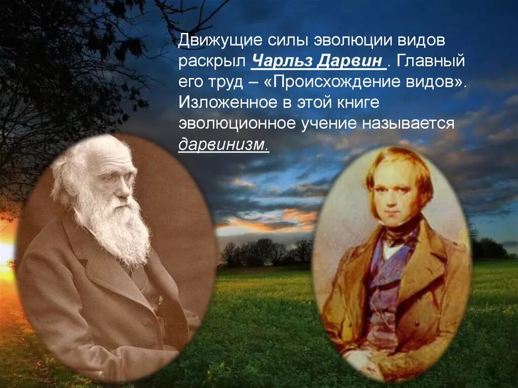 Теория дарвина движущие силы. Движущие силы Чарльза Дарвина. Движущиеся силы эволюции по Чарльзу Дарвину. Учение Чарльза Дарвина о движущих силах эволюции.