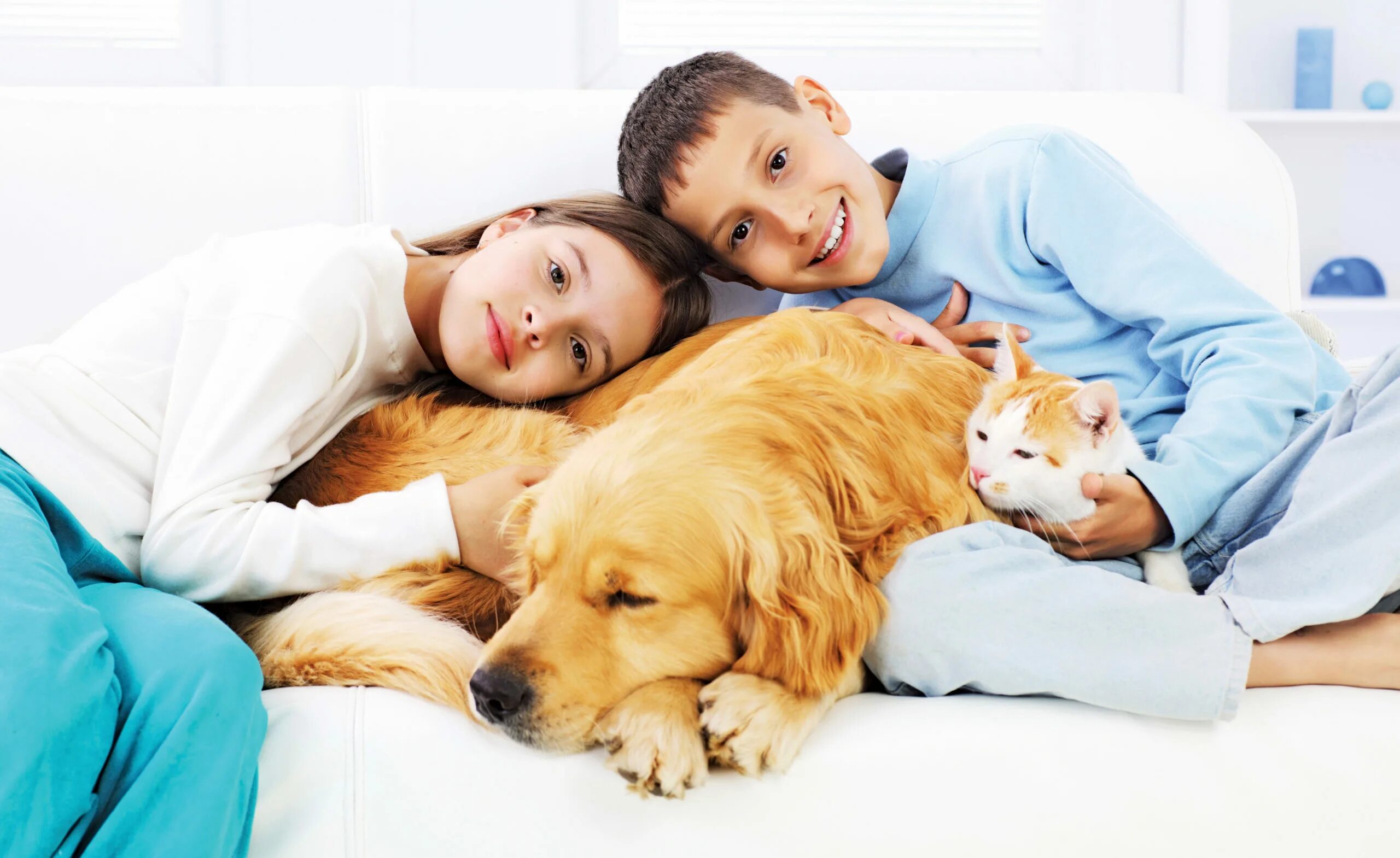 Забота о кошках. Люди с домашними животными. Для детей. Животные. Домашние животные для детей. Домашние питомцы и человек.