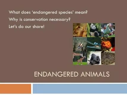 It is against the law to endangered