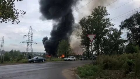Погода в янино