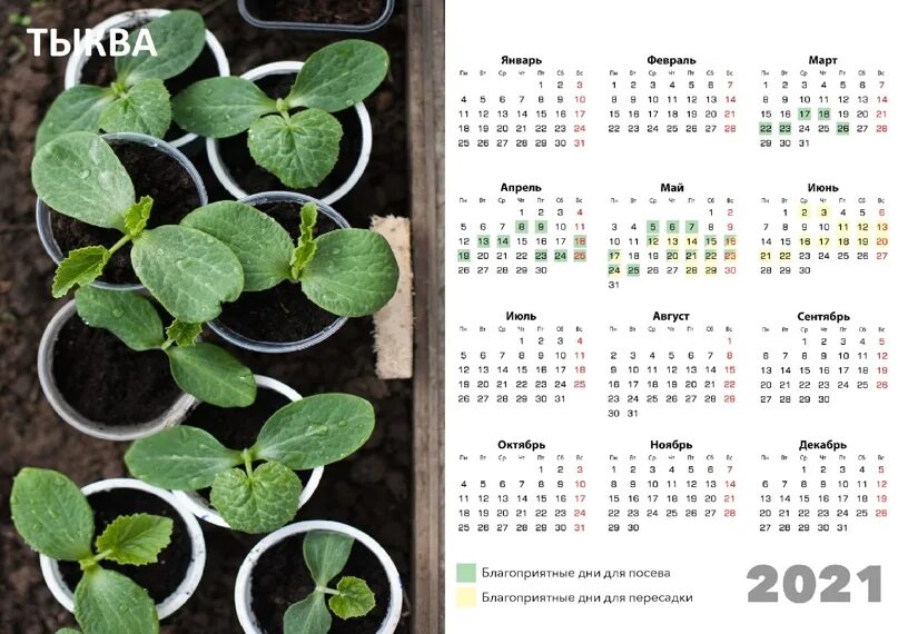 Лунный календарь цветовода 2021. Календарь цветовода. Лунный календарь посадки растений на 2021 год. Календарь комнатных растений 2022 год.