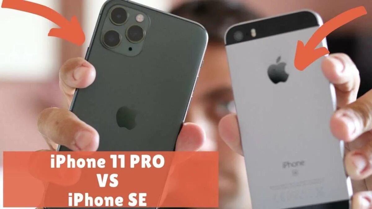 Iphone 11 Pro и iphone se. Iphone 11, iphone 11 Pro, iphone se. Apple Store 11 айфон. Айфон се 2019. Айфон 11 se