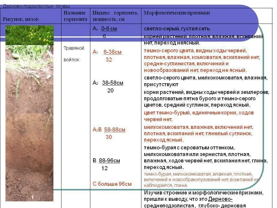 Плотность чернозема