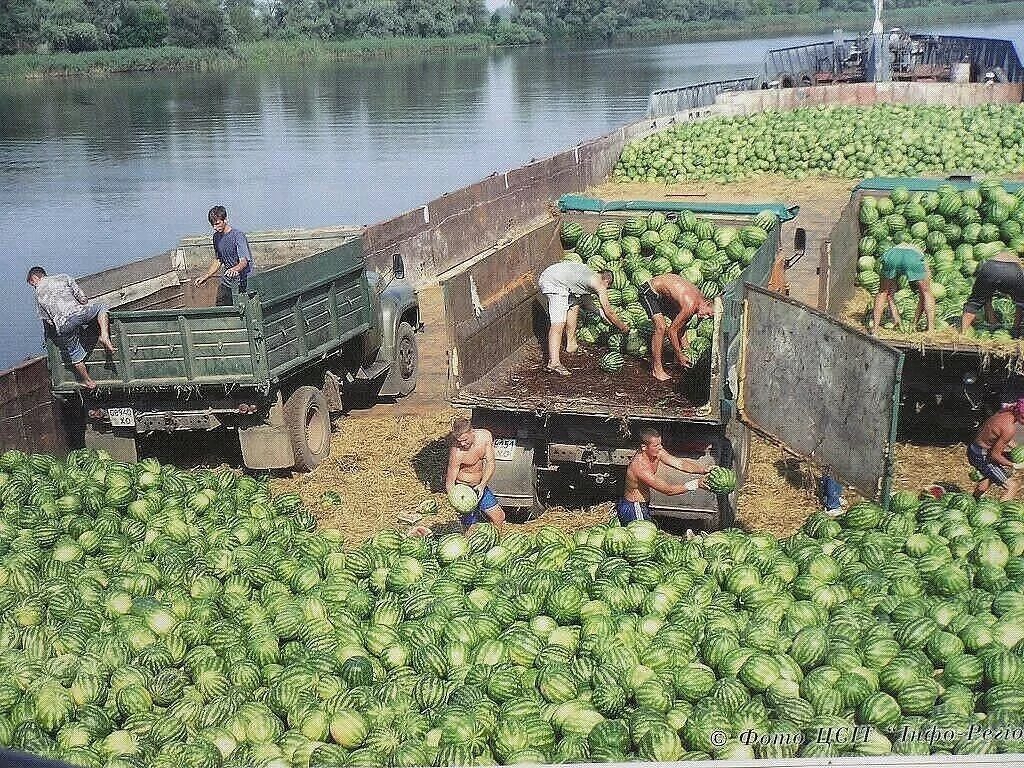 мальчик с арбузом. арбуз. грузовик с арбузами. советские арбузы. негр с арбузом ссср.
