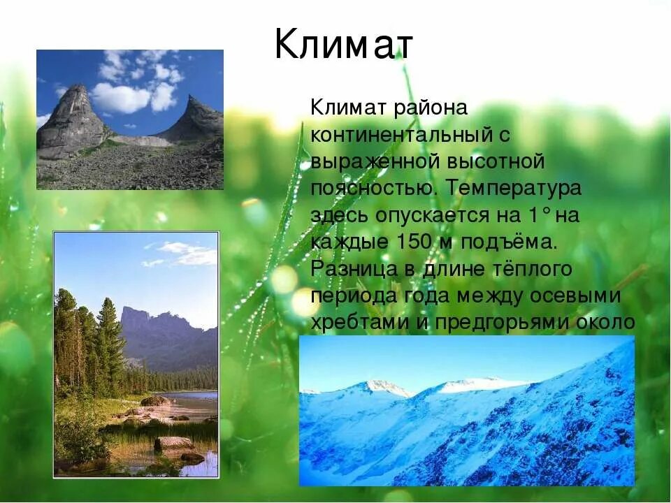 саяны сообщение 4. алтая саянская складчатая область рельеф. алтае-саянская горная страна карта. климат горных территорий с высотной поясностью россии. западные и восточные саяны.