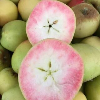 Apple pearl