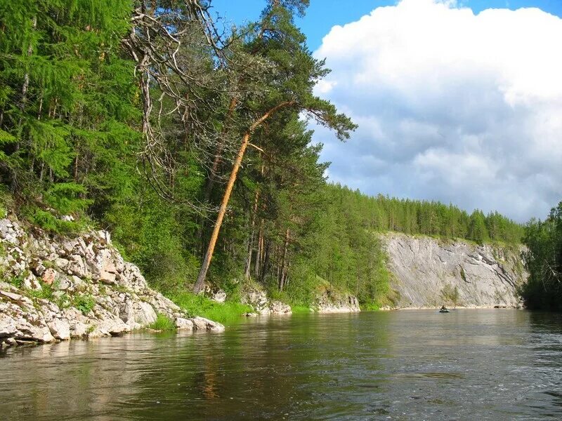 Река северная сосьва. Река Сосьва Денежкин камень. Реки Сосьва и Лозьва. Шегультан Сосьва.