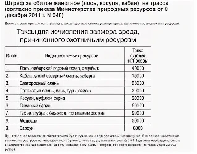 Штрафы за сбитых