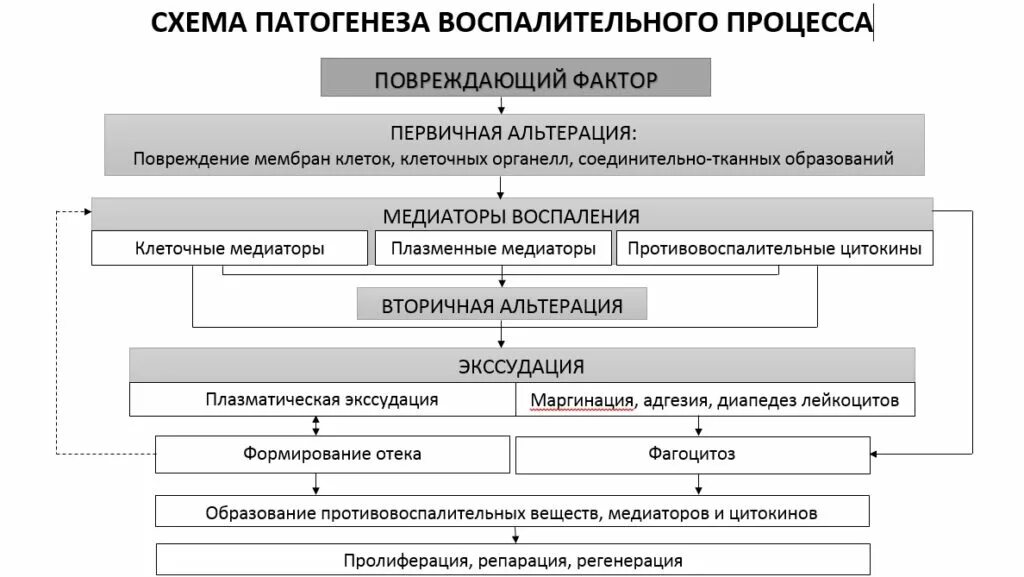 Патогенез повреждения. Схема повреждений. Схема повреждения банкрота. Патогенез ВИЧ схема.