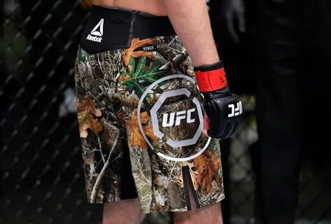 Шорты ufc